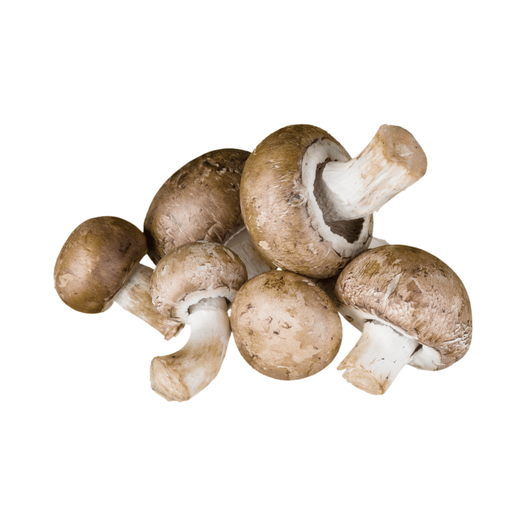pieczarka_brazowa.png