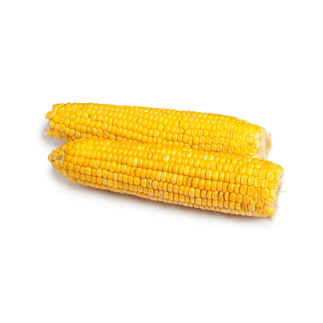 kukurydza_cukrowa.png