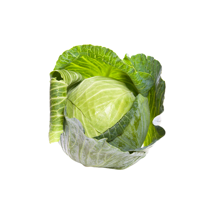 kapusta_mloda.png