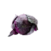 10.png